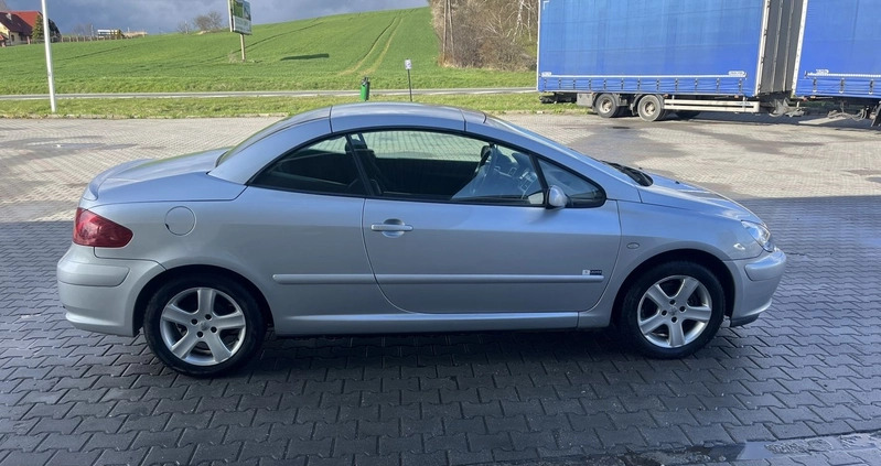 Peugeot 307 CC cena 9800 przebieg: 170000, rok produkcji 2004 z Mikołajki małe 742